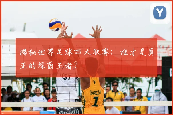 揭秘世界足球四大联赛:谁才是真正的绿茵王者?